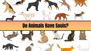 Do animals have souls?