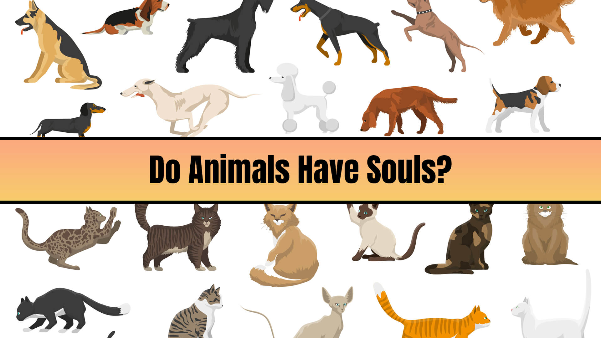 Do animals have souls?