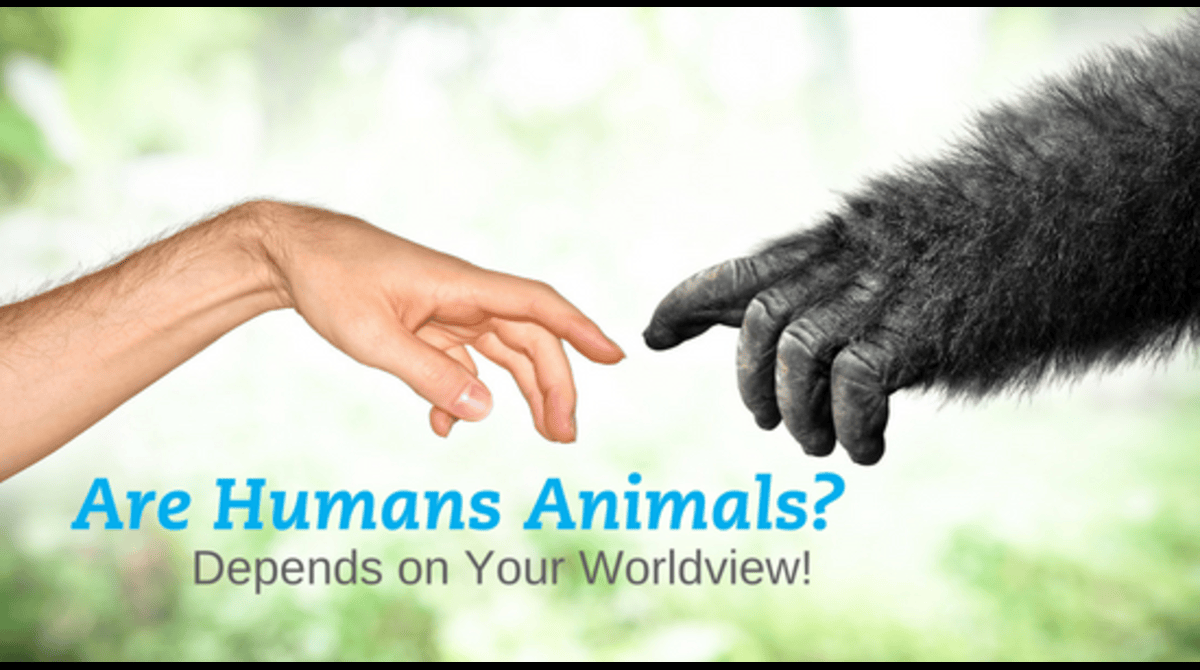 Are Humans Animals?