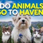 Do Animals Go to Heaven? Exploration of Faith, Beliefs, and Hope