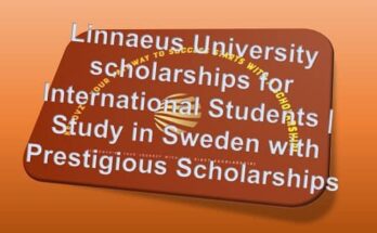 Linnaeus University scholarships for International Students - Study in Sweden with Prestigious Scholarships