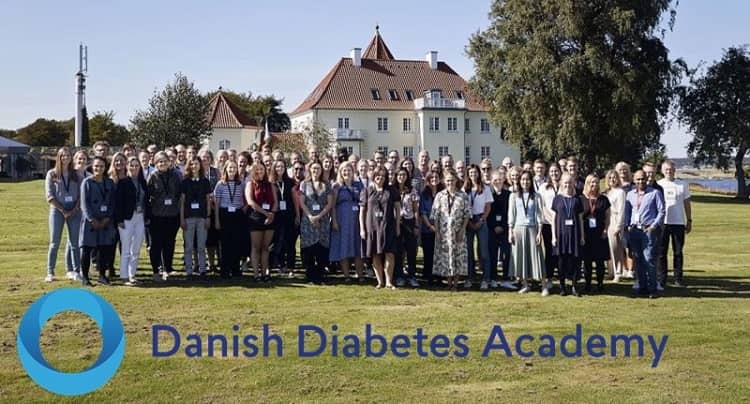 DDEA Denmark Industrial PhD Scholarships for International Students