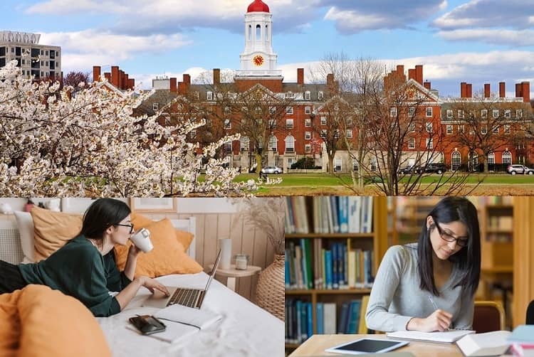 Harvard University Free Online Courses