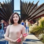 The Edith Cowan University ECU Travel Scholarship for International Students, Australia